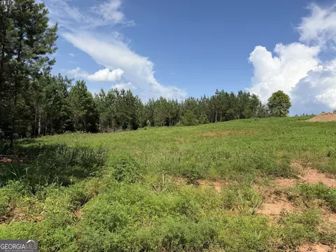 0 Bevis Rd, Franklin, GA 30217 photo 11