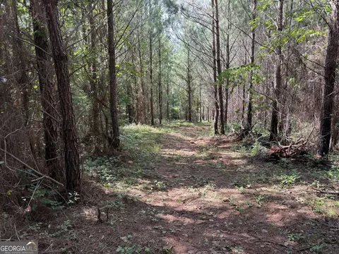 0 Bevis Rd, Franklin, GA 30217 photo 20