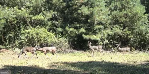 0 Bevis Rd, Franklin, GA 30217 photo 28