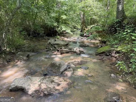 0 Bevis Rd, Franklin, GA 30217 photo 17