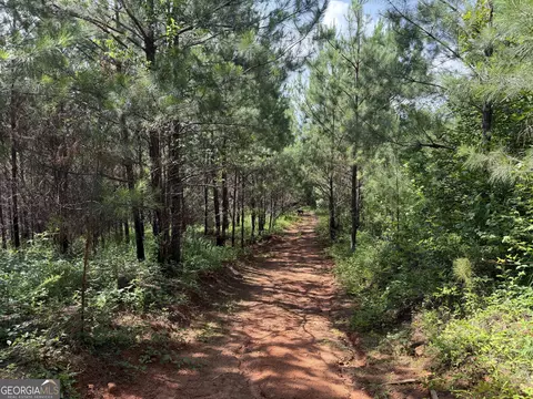 0 Bevis Rd, Franklin, GA 30217 photo 15