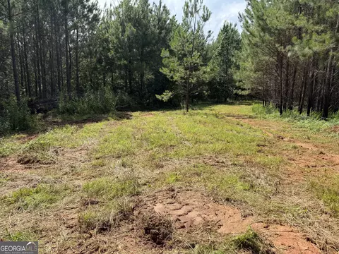 0 Bevis Rd, Franklin, GA 30217 photo 21