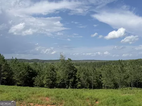0 Bevis Rd, Franklin, GA 30217 photo 10