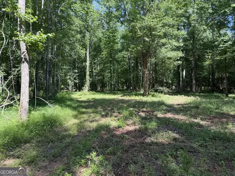 0 Bevis Rd, Franklin, GA 30217 photo 16