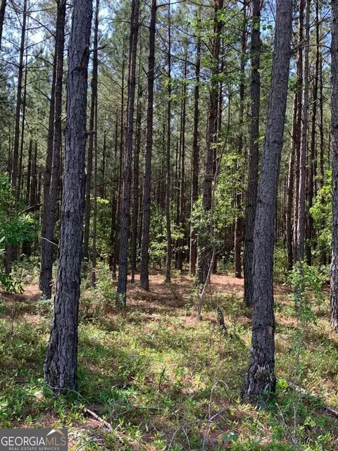 0 Pollett Rd #LOT 29, Bartow, GA 30413 photo 2