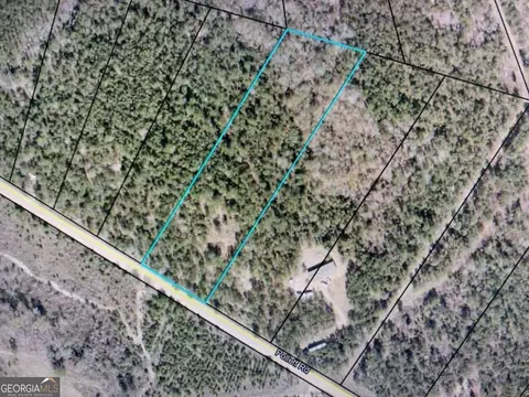 0 Pollett Rd #LOT 29, Bartow, GA 30413 photo 4