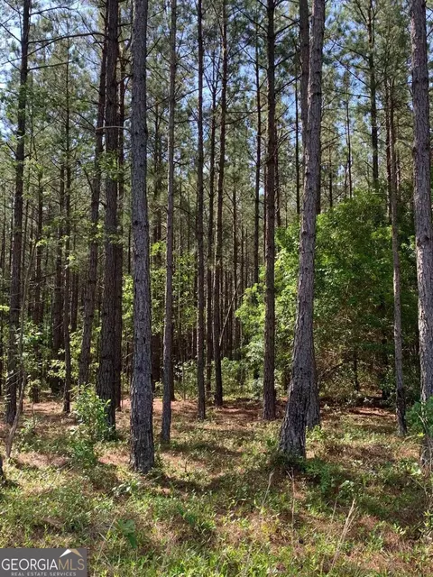 0 Pollett Rd #LOT 29, Bartow, GA 30413 photo 3