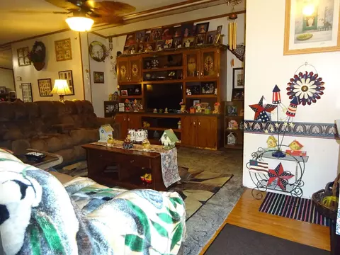 Living - 2489 Mosley Rd, Claxton, GA 30417 photo 2 of 2