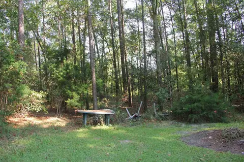 Exterior - 2489 Mosley Rd, Claxton, GA 30417 photo 10 of 12