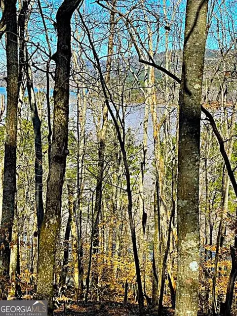 0 Overlook Dr, Chatsworth, GA 30705