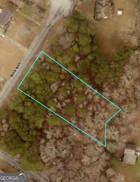 3032 Mink Way, Snellville, GA 30039
