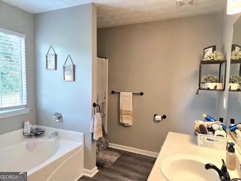 Bath - 137 Meadow View Dr, Jackson, GA 30233 photo 2 of 4