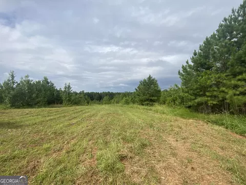 Undisclosed, Shiloh, GA 31826