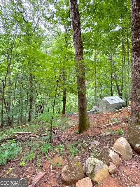 655 Mount Sequoyah Rd, Jasper, GA 30143 photo 10