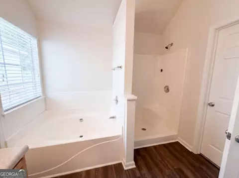 Bath - 55 Lassiter Dr, Covington, GA 30016 photo 4 of 4