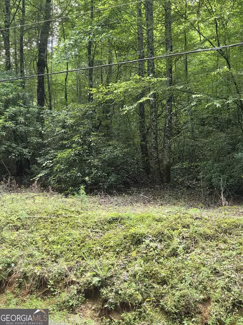 00 Chopped Oak, Ellijay, GA 30540