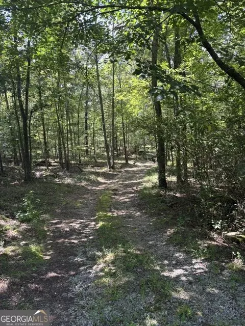 3960 Clinton Ct, Villa Rica, GA 30180