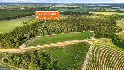 0 Long Rd, Vienna, GA 31092 photo 6