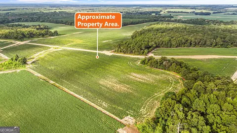 0 Long Rd, Vienna, GA 31092 photo 5