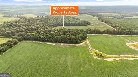 0 Long Rd, Vienna, GA 31092 photo 3