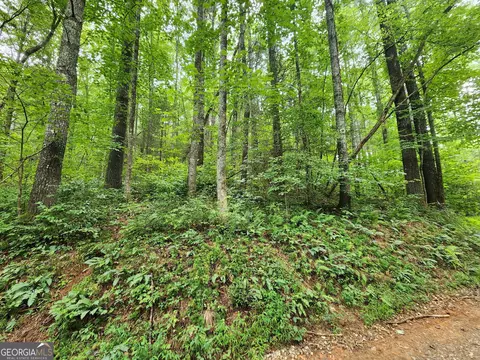 2 Poplar Cove Road, Suches, GA 30572