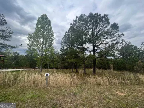 lot65 Village Loop, Blairsville, GA 30512
