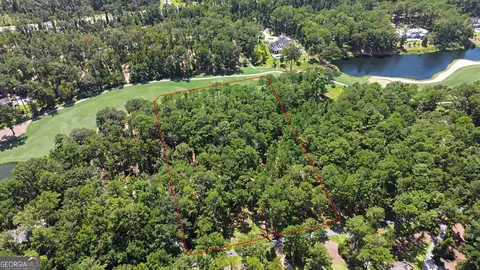 388 Belted Kingfisher Ln, Richmond Hill, GA 31324