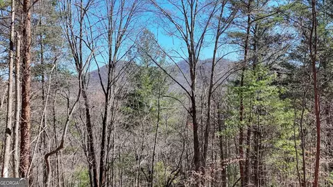 lot10 Firefly Rdg, Blairsville, GA 30512