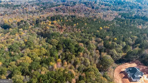 0 Tanners Bridge Cir, Bethlehem, GA 30620 photo 8