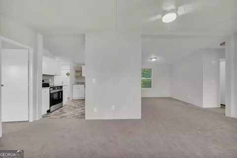Other - 218 Gainesville St, Carnesville, GA 30521 photo 5 of 12