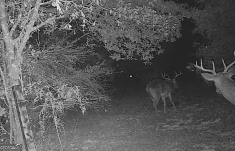 0 Hwy 62, Blakely, GA 39823 photo 10
