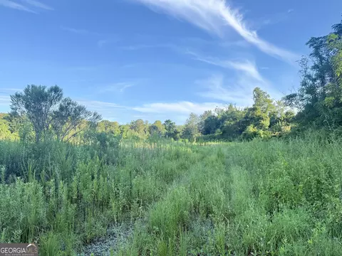 0 Hwy 62, Blakely, GA 39823 photo 7