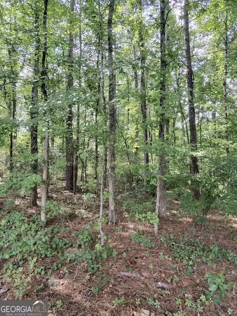 0 Post Rd, Winston, GA 30187 photo 5