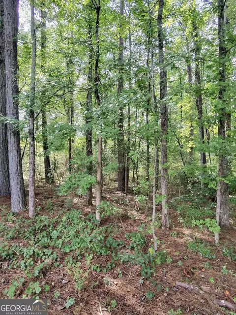 0 Post Rd, Winston, GA 30187 photo 4