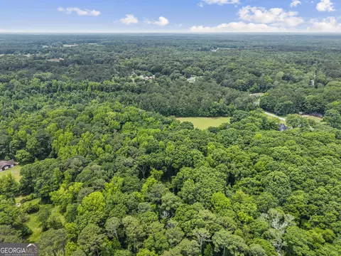 View/Area - 1047 Dixie Rd, Covington, GA 30014 photo 4 of 6