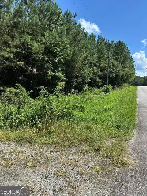 305 Wildcat Rd, Buchanan, GA 30113 photo 3