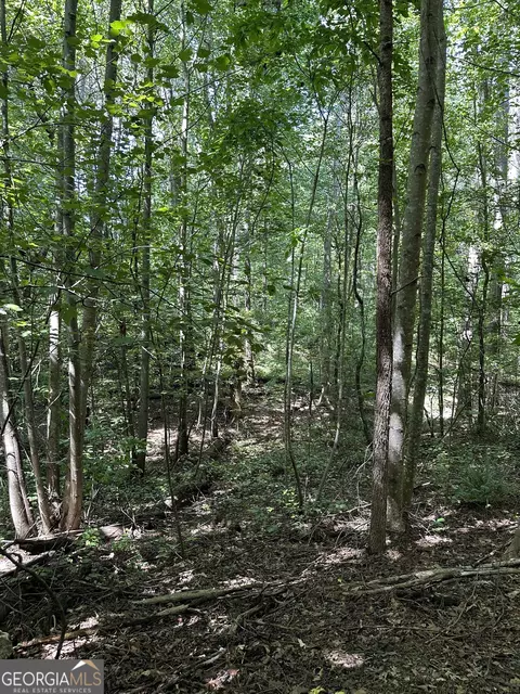 305 Wildcat Rd, Buchanan, GA 30113 photo 6