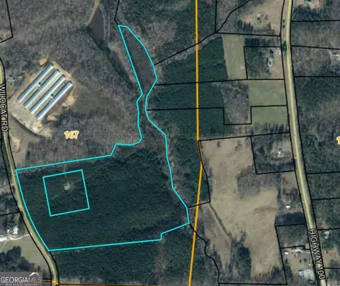 305 Wildcat Rd, Buchanan, GA 30113 photo 9