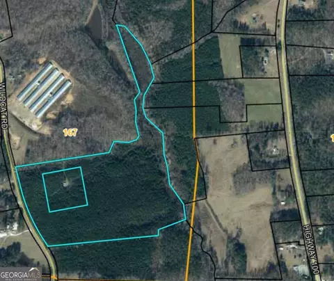 305 Wildcat Rd, Buchanan, GA 30113 photo 5