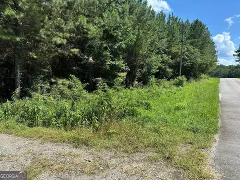 305 Wildcat Rd, Buchanan, GA 30113 photo 4