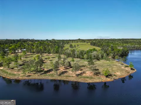 1009 Walter Wells Rd, Buena Vista, GA 31803
