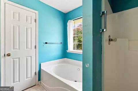 Bath - 1648 Graystone Dr, Hampton, GA 30228 photo 3 of 4