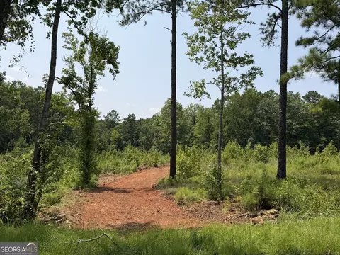 722 Giles Rd, Forsyth, GA 31029 photo 2