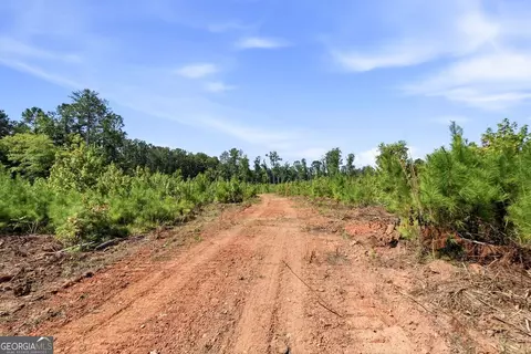 696 Giles Rd, Forsyth, GA 31029 photo 28