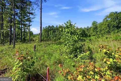 696 Giles Rd, Forsyth, GA 31029 photo 16