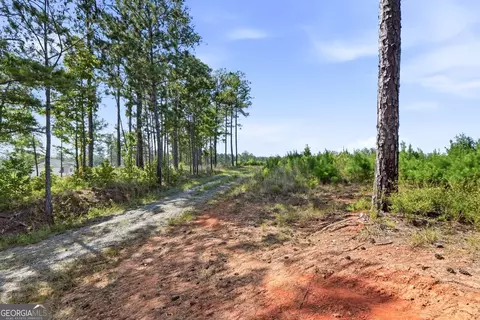 696 Giles Rd, Forsyth, GA 31029 photo 25
