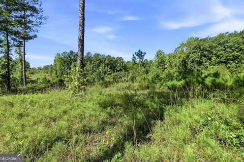 696 Giles Rd, Forsyth, GA 31029 photo 17