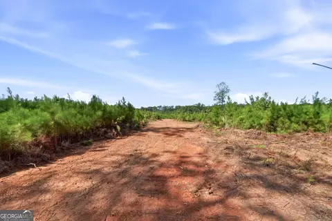696 Giles Rd, Forsyth, GA 31029 photo 24