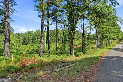 696 Giles Rd, Forsyth, GA 31029 photo 18