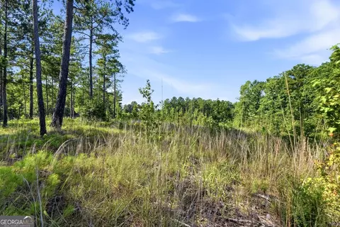 696 Giles Rd, Forsyth, GA 31029 photo 15